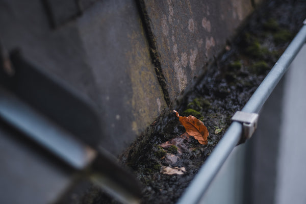 How Dirty Gutters Can Cost You Thousands